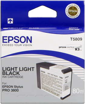 Original Epson T5809 Druckerpatrone lightlightblack C13T580900